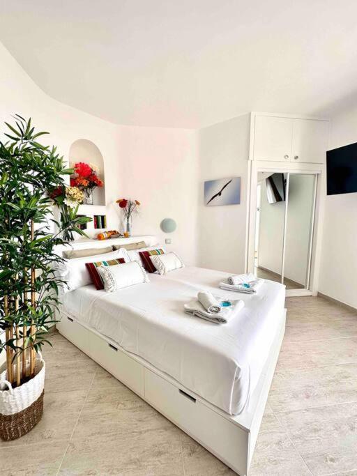 Mirador Paraiso: Superb Sea View Playa Paraiso  Εξωτερικό φωτογραφία