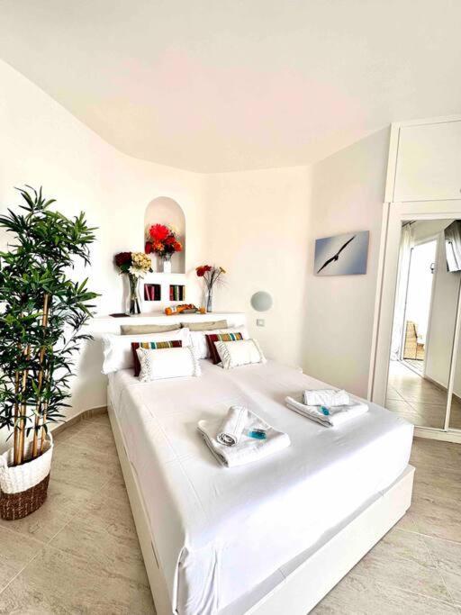 Mirador Paraiso: Superb Sea View Playa Paraiso  Εξωτερικό φωτογραφία