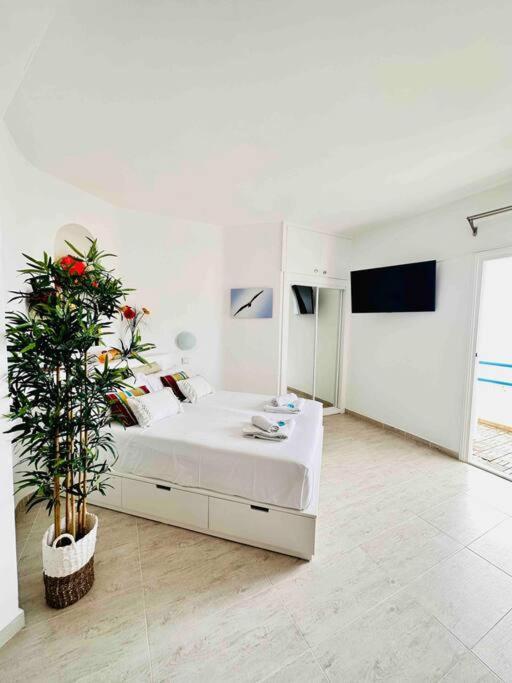 Mirador Paraiso: Superb Sea View Playa Paraiso  Εξωτερικό φωτογραφία